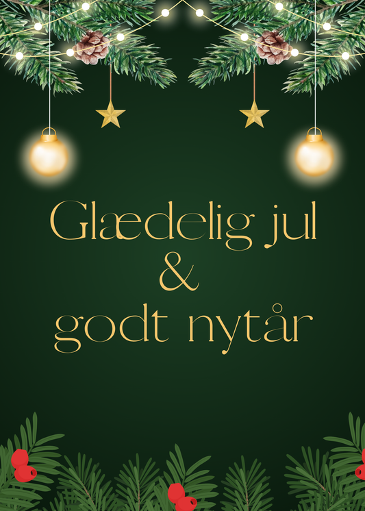 Glædelig jul & godt nytår 🎄