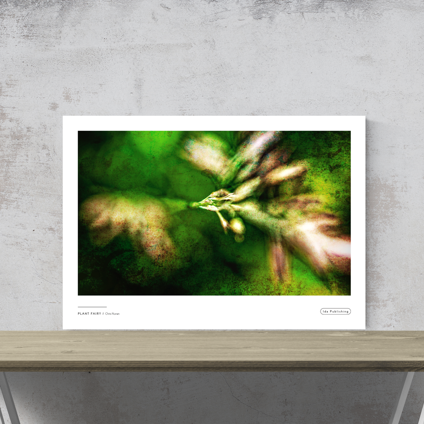 Plant Fairy⎜Plakat